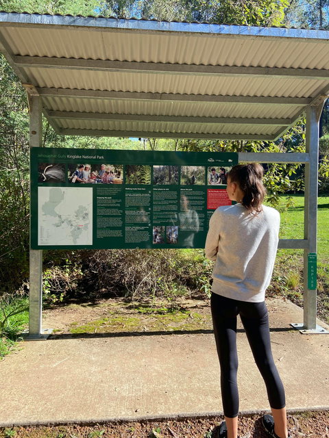 Jehosaphat Gully Picnic Area - Taree Accommodation 0