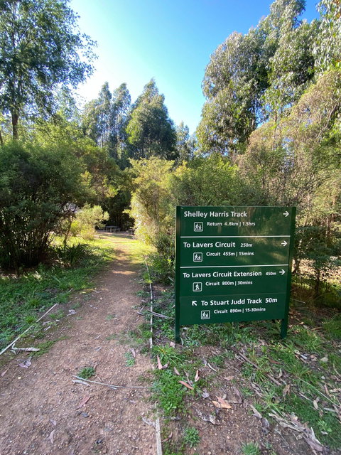 Jehosaphat Gully Picnic Area - Taree Accommodation 2