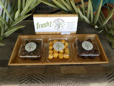 Julimar Date Garden - Taree Accommodation 1