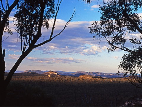 Ka Ka Mundi, Carnarvon National Park - Taree Accommodation 0