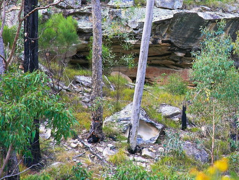 Ka Ka Mundi, Carnarvon National Park - Taree Accommodation 1