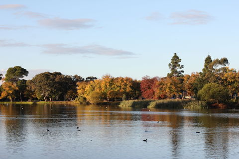 Lake Weeroona - Taree Accommodation 0