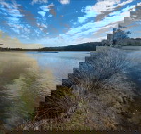 Lake Innes Nature Reserve - Taree Accommodation