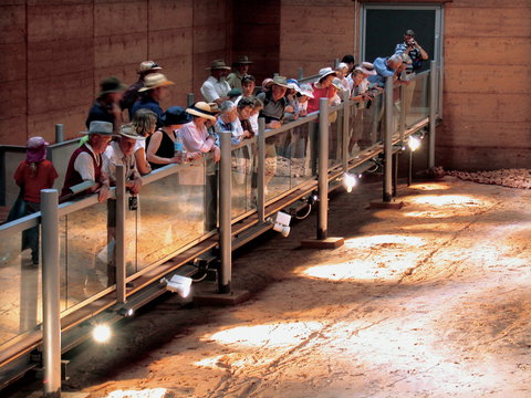 Lark Quarry Conservation Park - Taree Accommodation 0