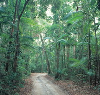 Lawn Hill - Taree Accommodation