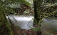 Marriotts Falls And Junee Caves - thumb 0