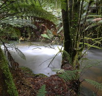 Marriotts Falls and Junee Caves - Taree Accommodation