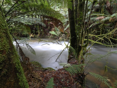 Marriotts Falls And Junee Caves - Taree Accommodation 0