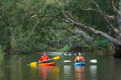 Maribyrnong River - Taree Accommodation 0