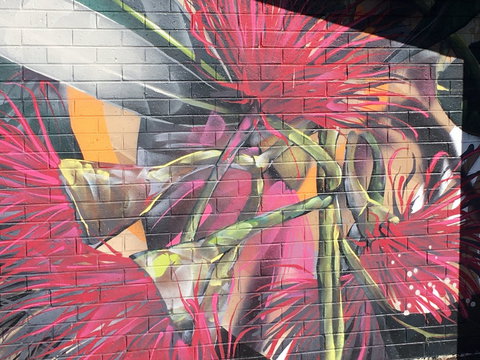 Mokoan Rest Stop Northbound - Taree Accommodation 0