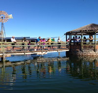 Ocean Park Aquarium - Taree Accommodation