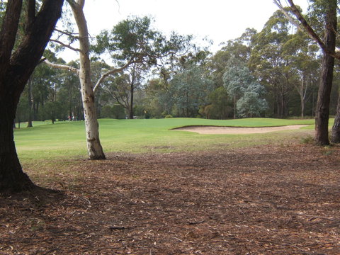 Pambula Merimbula Golf Club - Taree Accommodation 2