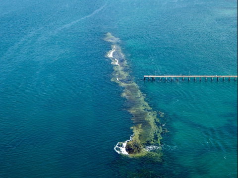 Port Noarlunga Reef Sanctuary Zone - Encounter Marine Park - Taree Accommodation 0