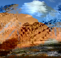 Red Banks Conservation Park - Taree Accommodation