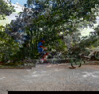 Samford Valley Rail Trail - Taree Accommodation