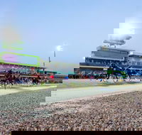 Tabcorp Park - Taree Accommodation