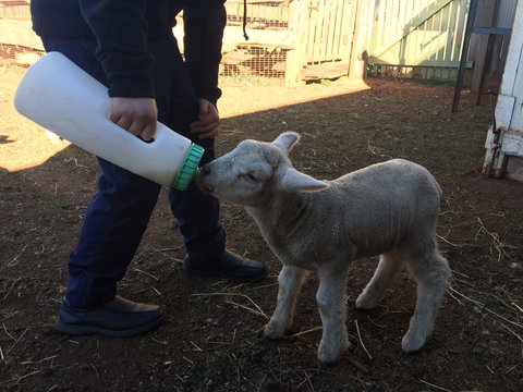 Taralga Wildlife Park - Taree Accommodation 0