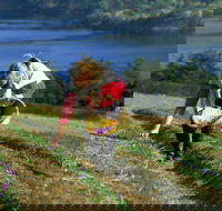 Tas-Saff - Taree Accommodation