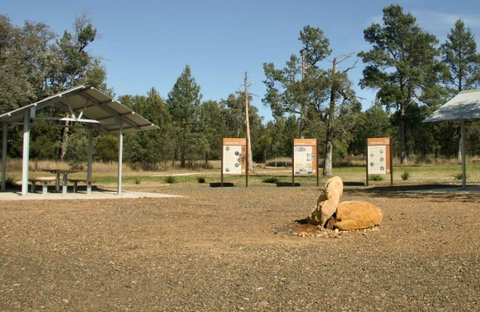 Terry Hie Hie Aboriginal Area - Taree Accommodation 0