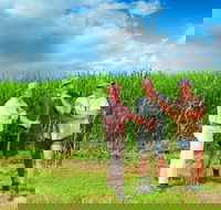 The Shed Gallery - Taree Accommodation