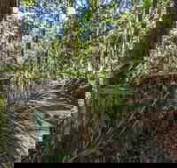 Thylogale Track - Taree Accommodation