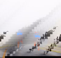 7 Peaks Ride - Lake Mountain - Taree Accommodation