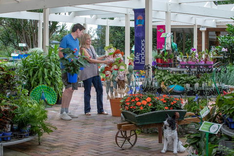 Adare - Taree Accommodation 0