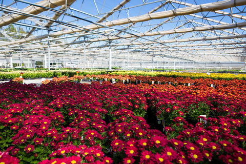 Adare - Taree Accommodation 1