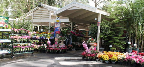 Adare - Taree Accommodation 2