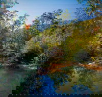 Bargo State Conservation Area - Taree Accommodation