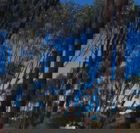 Boorabbin National Park - Taree Accommodation