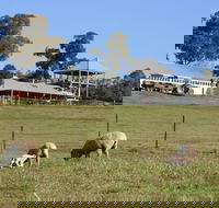 Calmsley Hill City Farm - Taree Accommodation
