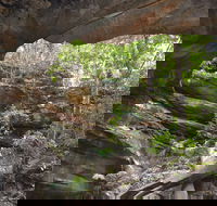 Cave Creek Walking Track - Taree Accommodation