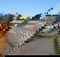 Darkes Forest Riding Ranch - Taree Accommodation