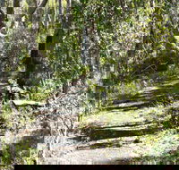 Euglah Rock Walking Track - Taree Accommodation