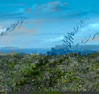 Forest Walking Track Crowdy Bay National Park - Taree Accommodation