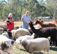 Haigslea EWE Nique Hobby Farm - Taree Accommodation
