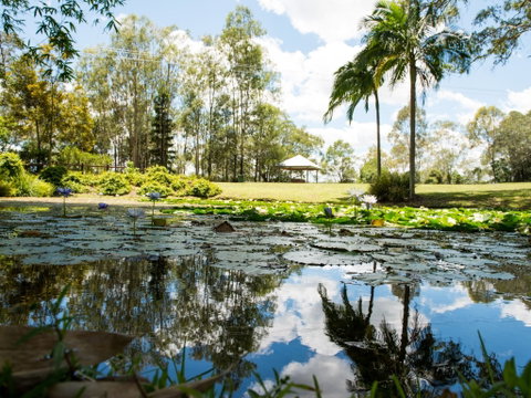 Kholo Gardens - Taree Accommodation 1