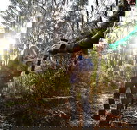 Kinglake National Park - Taree Accommodation