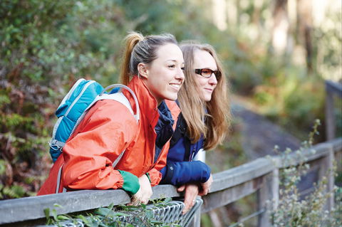 Kinglake National Park - Taree Accommodation 2