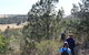 Kinchina Conservation Park - thumb 0