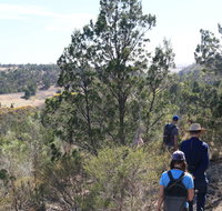 Kinchina Conservation Park - Taree Accommodation