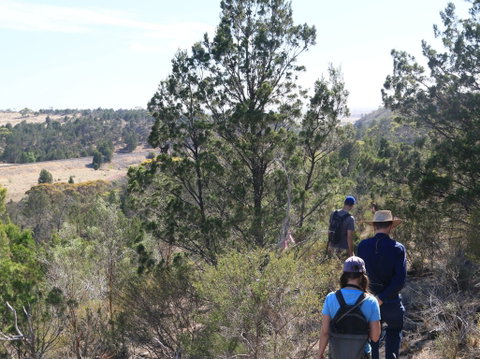Kinchina Conservation Park - Taree Accommodation 0