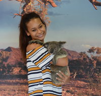 Kuranda Koala Gardens - Taree Accommodation