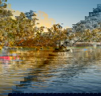 Macquarie Marshes Nature Reserve - Taree Accommodation