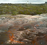 Maddens Falls - Taree Accommodation