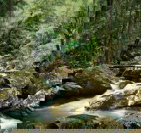 Maleny - Taree Accommodation