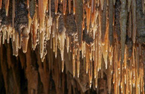 Mulwaree Cave - Taree Accommodation 0