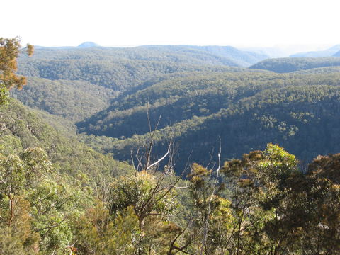 Nattai Gorge Lookout - Taree Accommodation 1