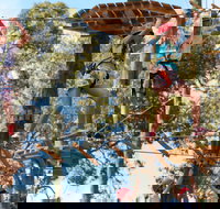 Next Level Monkey Business - Taree Accommodation